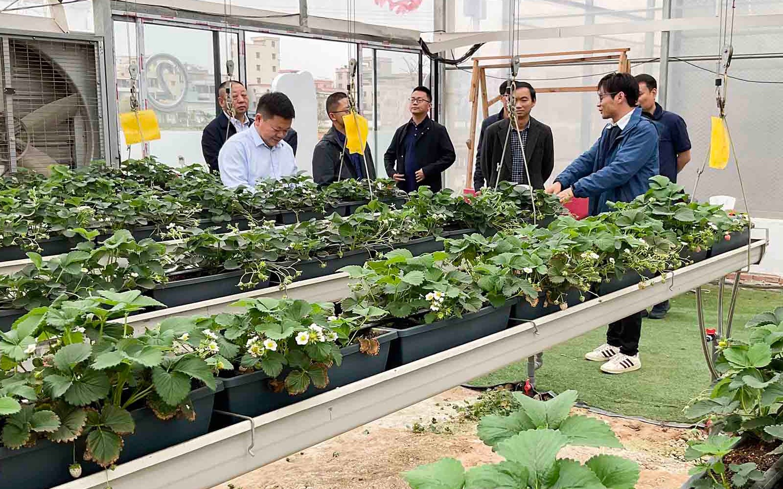 湖北省麻城市招商考察团队到访云顶集团进行调研交流