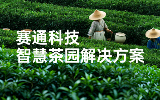 云顶集团(中国)官方网站科技发布智慧茶园解决方案