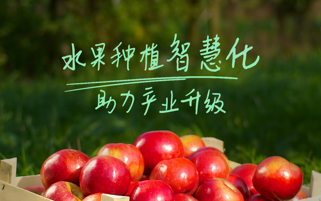 云顶集团(中国)官方网站科技发布智慧果园解决方案