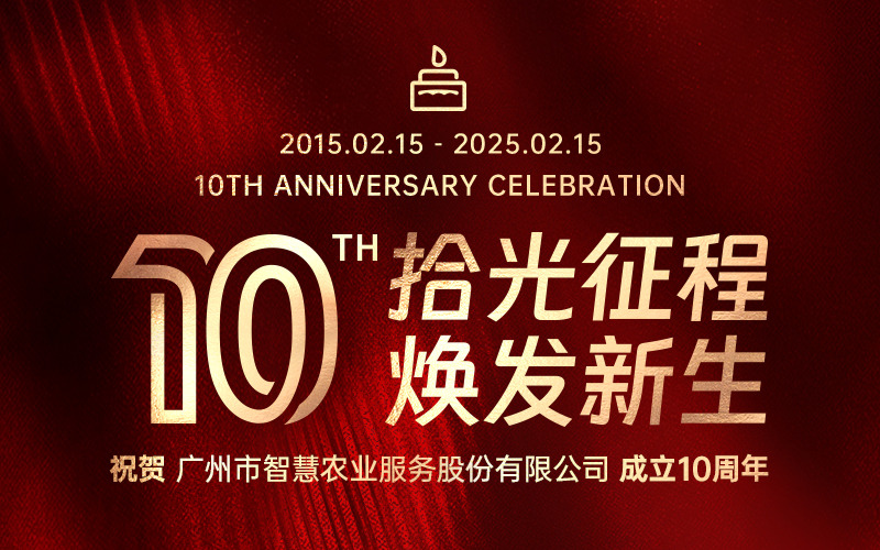 拾光征程，焕发新生 | 广州市云顶集团服务股份有限公司成立十周年