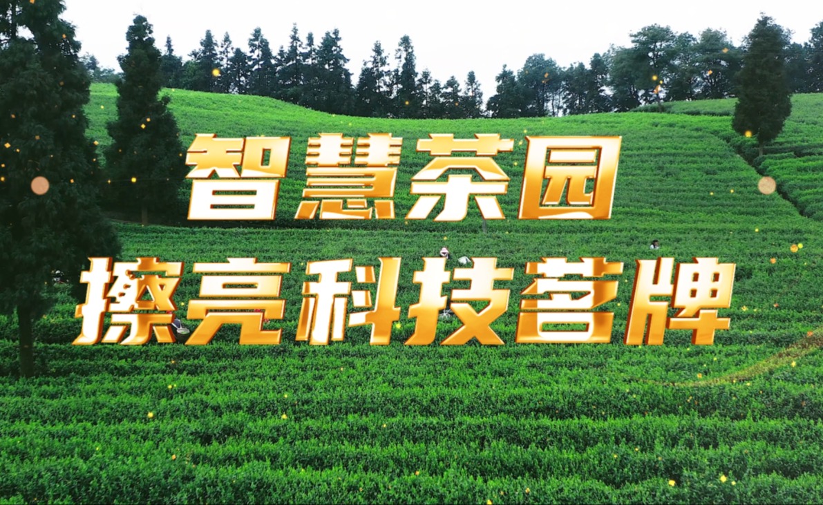 智慧茶园，擦亮科技茗牌