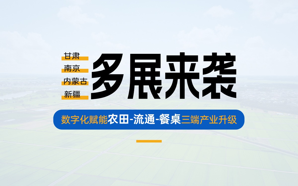 盛夏多展来袭，共探产业数字化新路径