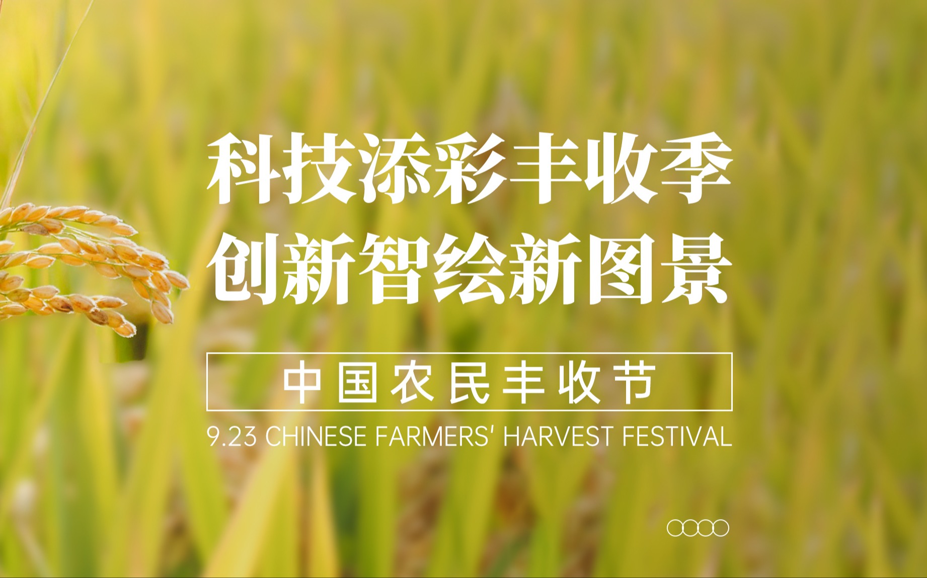 科技添彩丰收季，创新智绘新图景！